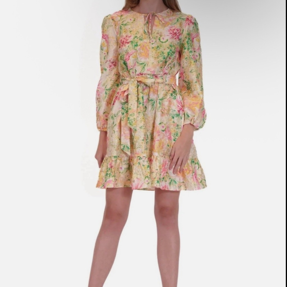 NWT Julia Jordan CRUSHED TAFFETA MINI DRESS Floral Multicolor Size 2